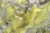 Striking Yellow Sulfur Crystals on Fluorescent Aragonite - Italy #208738-3